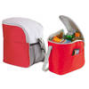 Kleine koeltas/Lunch tas model Glaciaal - 2x - 23 x 16 x 26 cm - 1 vaks - rood/grijs - 9 Liter - Koeltas