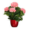 Hortensia kunstplant/kunstbloemen 45 cm - roze - in pot rood glans - Kunstplanten