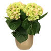 Hortensia kunstplant/kunstbloemen 36 cm - groen/roze - in pot goud - Kunstplanten