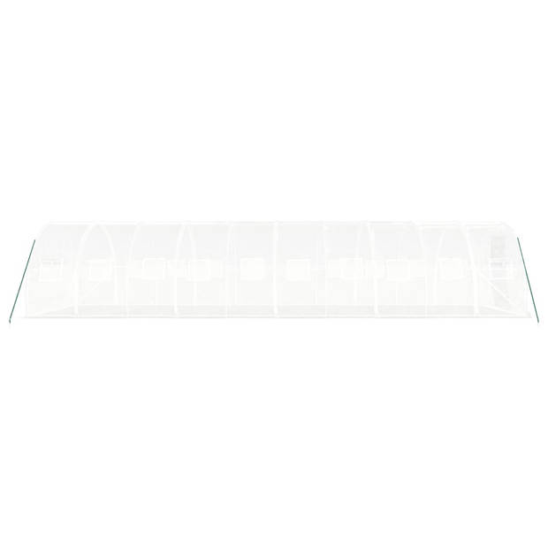 The Living Store Broeikas - 10x3x2m - PE - Gegalvaniseerd Staal - UV- Weerbestendig - Met 2 Ritsen