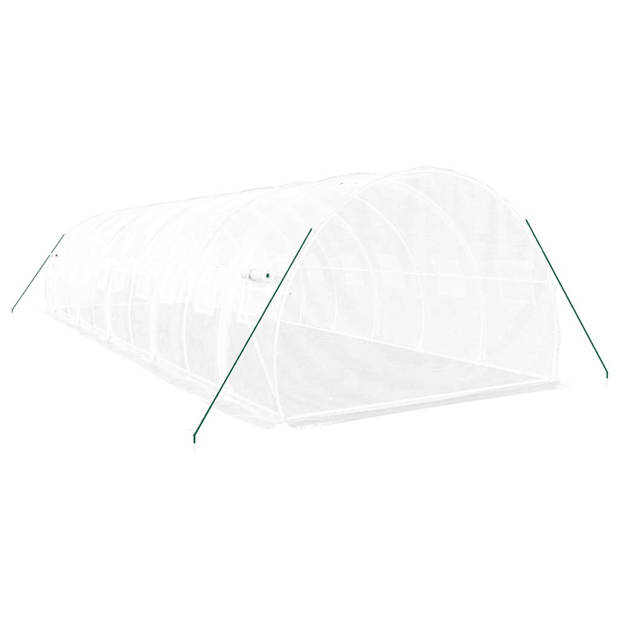 The Living Store Broeikas - 10x3x2m - PE - Gegalvaniseerd Staal - UV- Weerbestendig - Met 2 Ritsen