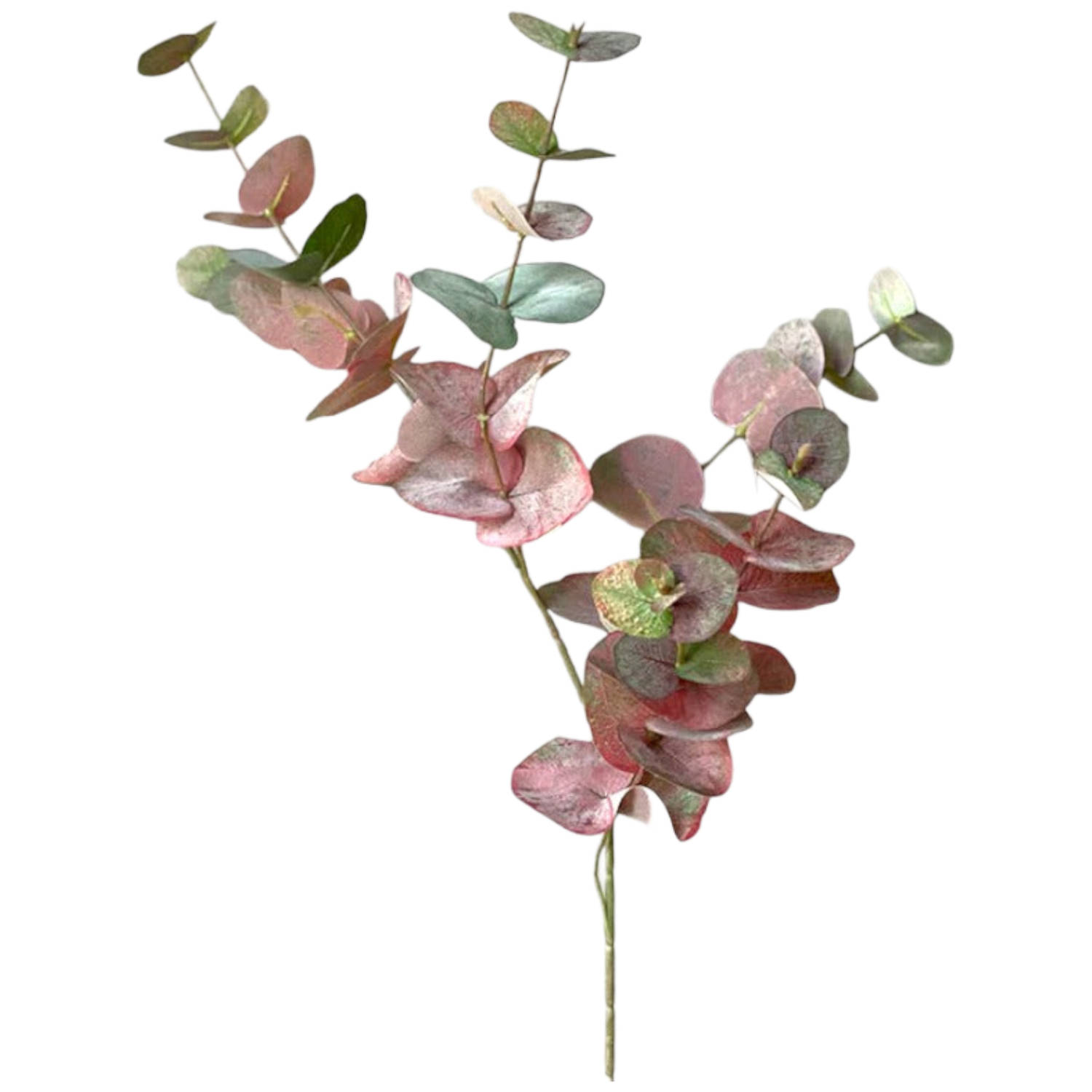 Colours and Green - Kunsttak 'Eucalyptus Red' - 87 centimeter