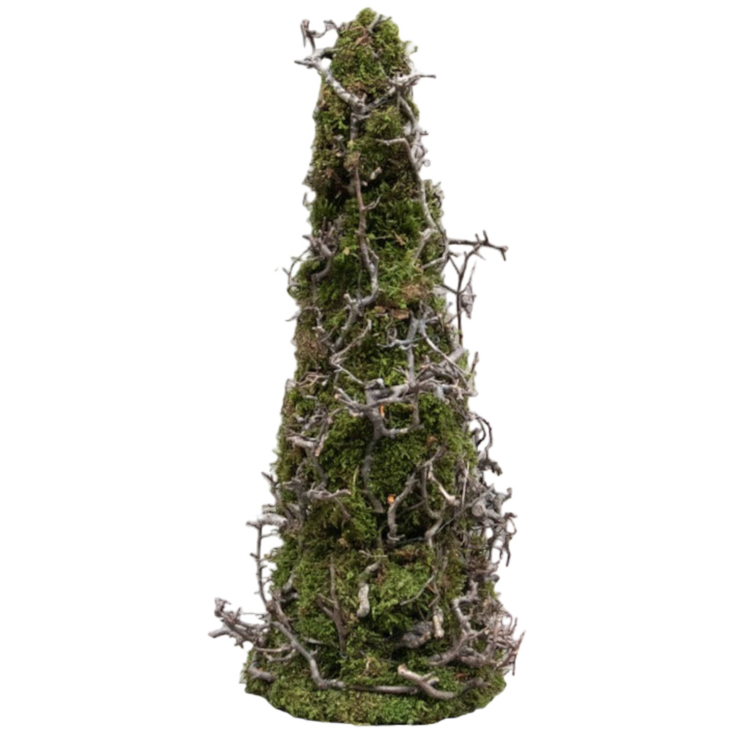 Couronne - Boompje van bonsai 'Moss' (Naturel, 50cm)