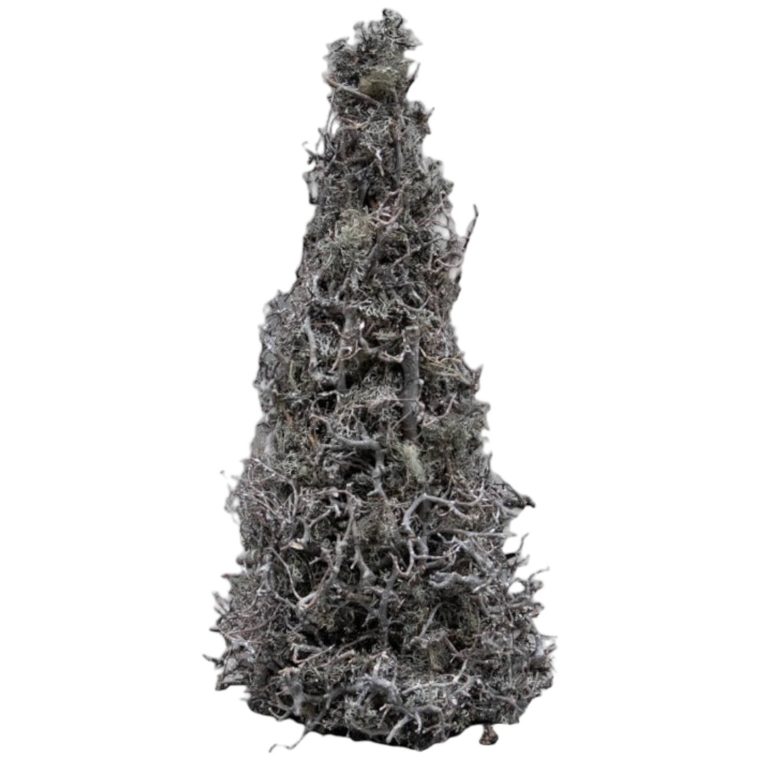 Couronne boompje van bonsai moss white wash 50cm