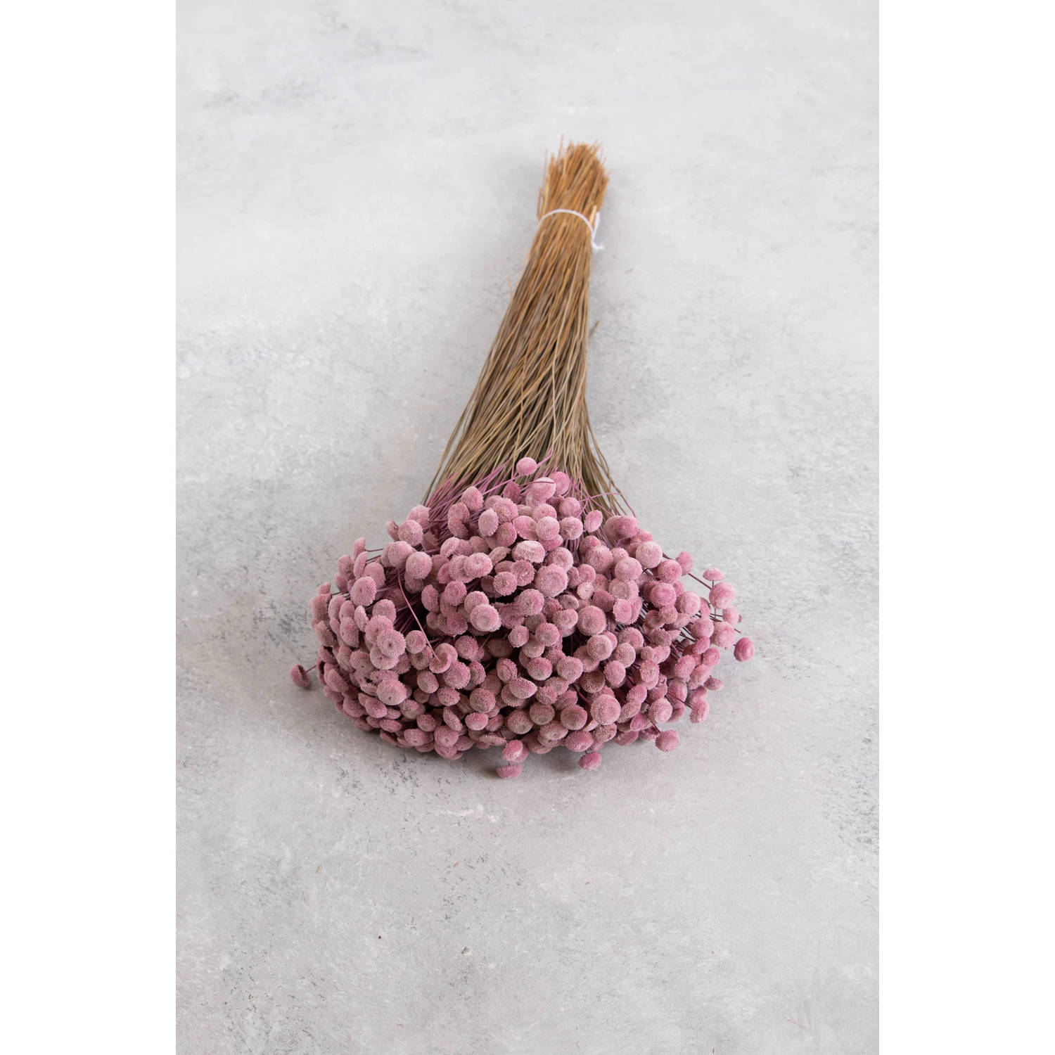 Couronne - Bundeltje gedroogde bloemen 'Botao' - Pink