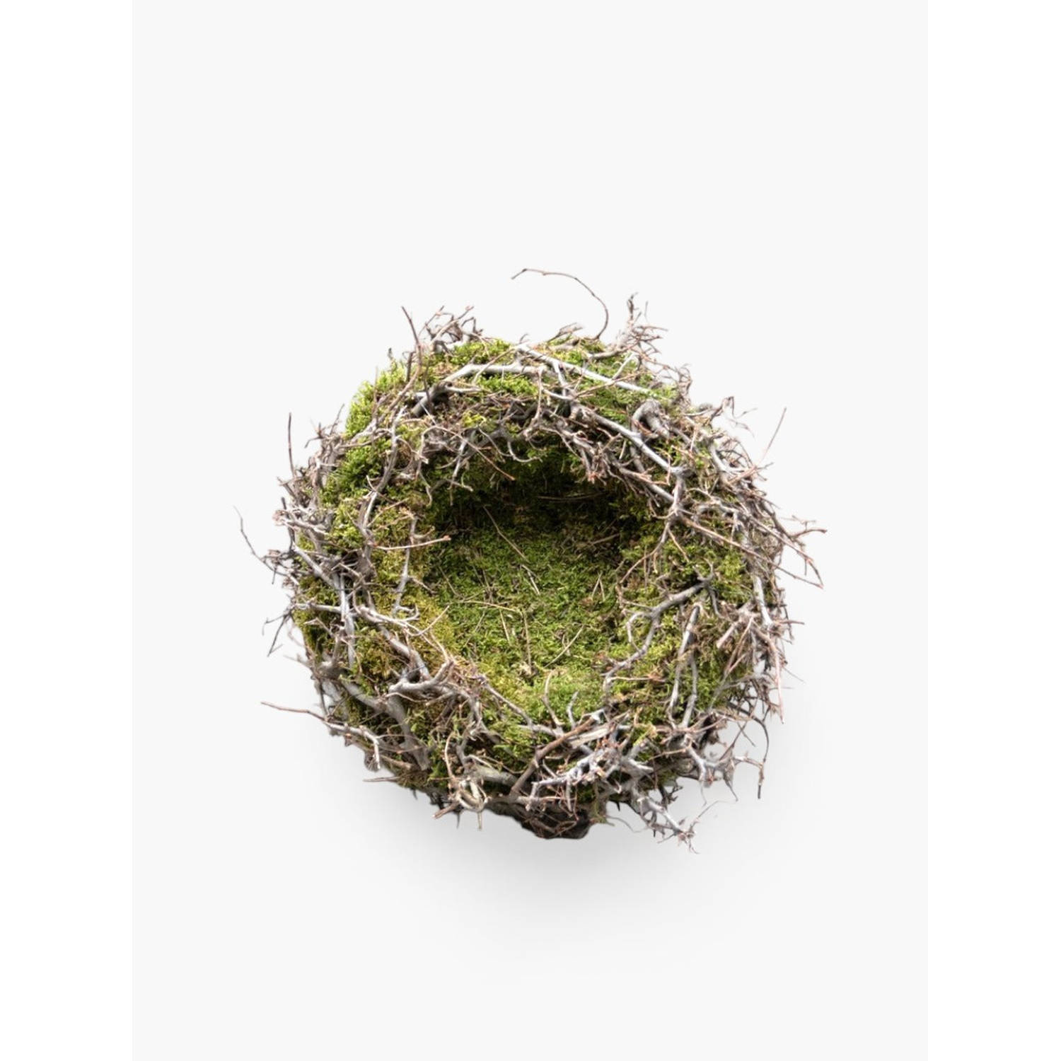 Couronne - Krans van mos en bonsai met nest (Ø40cm)
