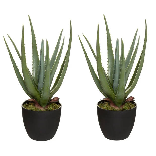 Set van 2x stuks atmosphera Aloe kunstplanten in pot van cement 42 cm - Kunstplanten