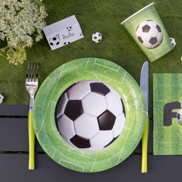 Santex feest wegwerpbordjes - voetbal - 20x stuks - 23 cm - groen - Feestbordjes