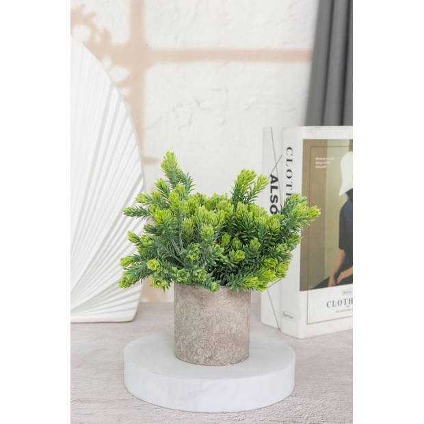 GreenDream® Kunstplanten set met 3 Kleine kunstplanten 20 cm - Cadeautip