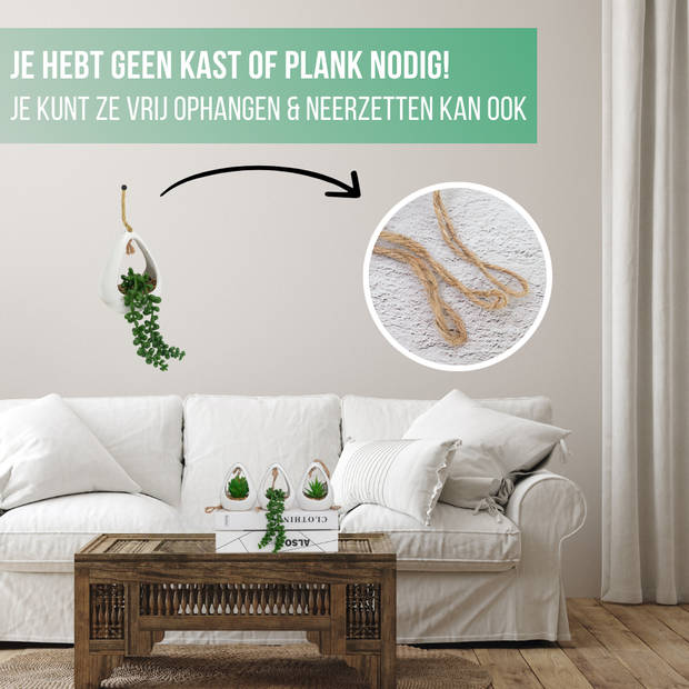 GreenDream® Kunstplanten - 3 stuks Hangplanten in Hanger - Cadeautip