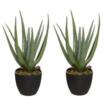 Set van 2x stuks atmosphera Aloe kunstplanten in pot van cement 42 cm - Kunstplanten