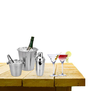 Complete bar set met 4x Martini cocktailglazen en cocktailshaker - Cocktailglazen