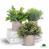 GreenDream® Kunstplanten set met 3 Kleine kunstplanten 20 cm - Cadeautip