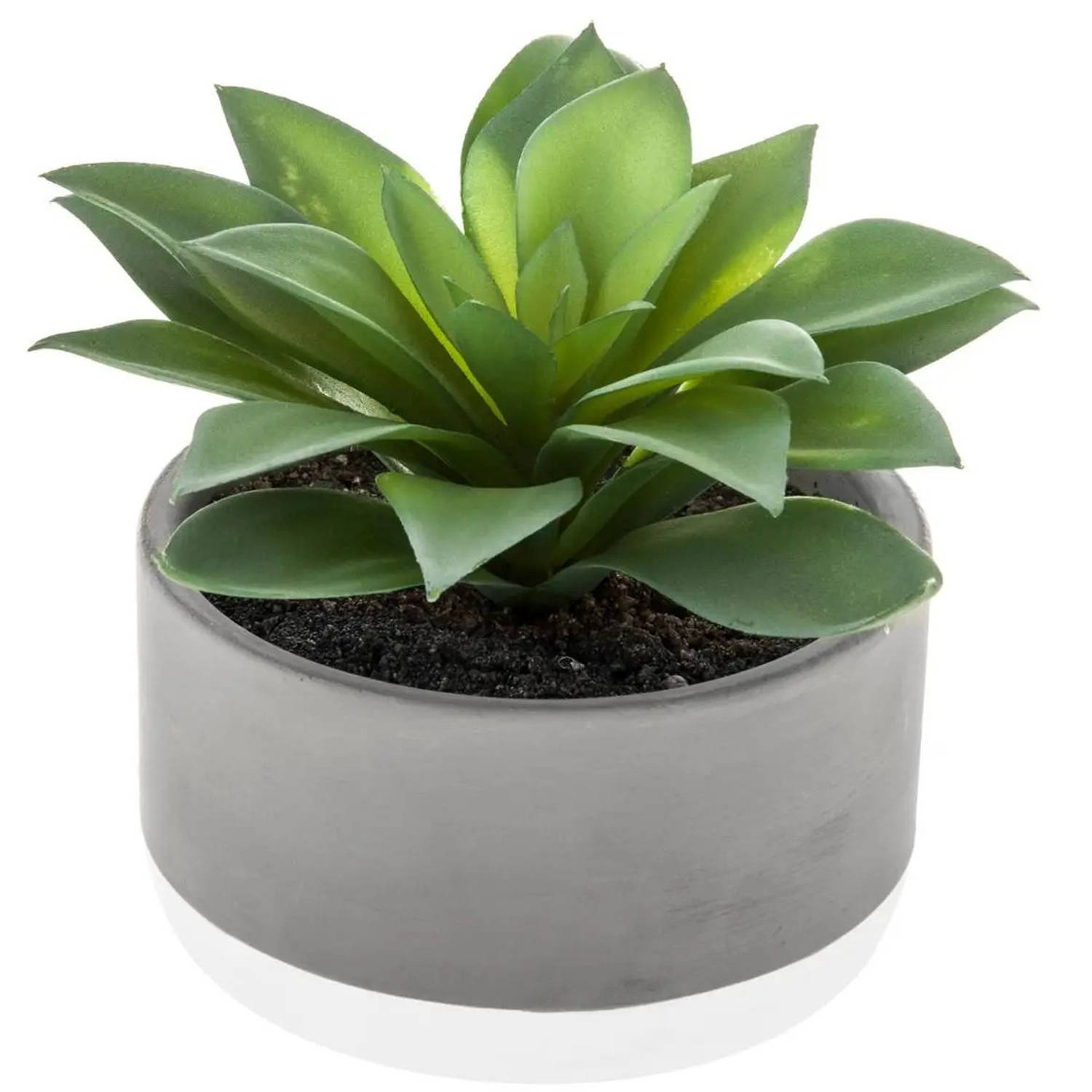 Atmosphera vetplant kunstplant in pot van cement 22 cm - Nepplanten