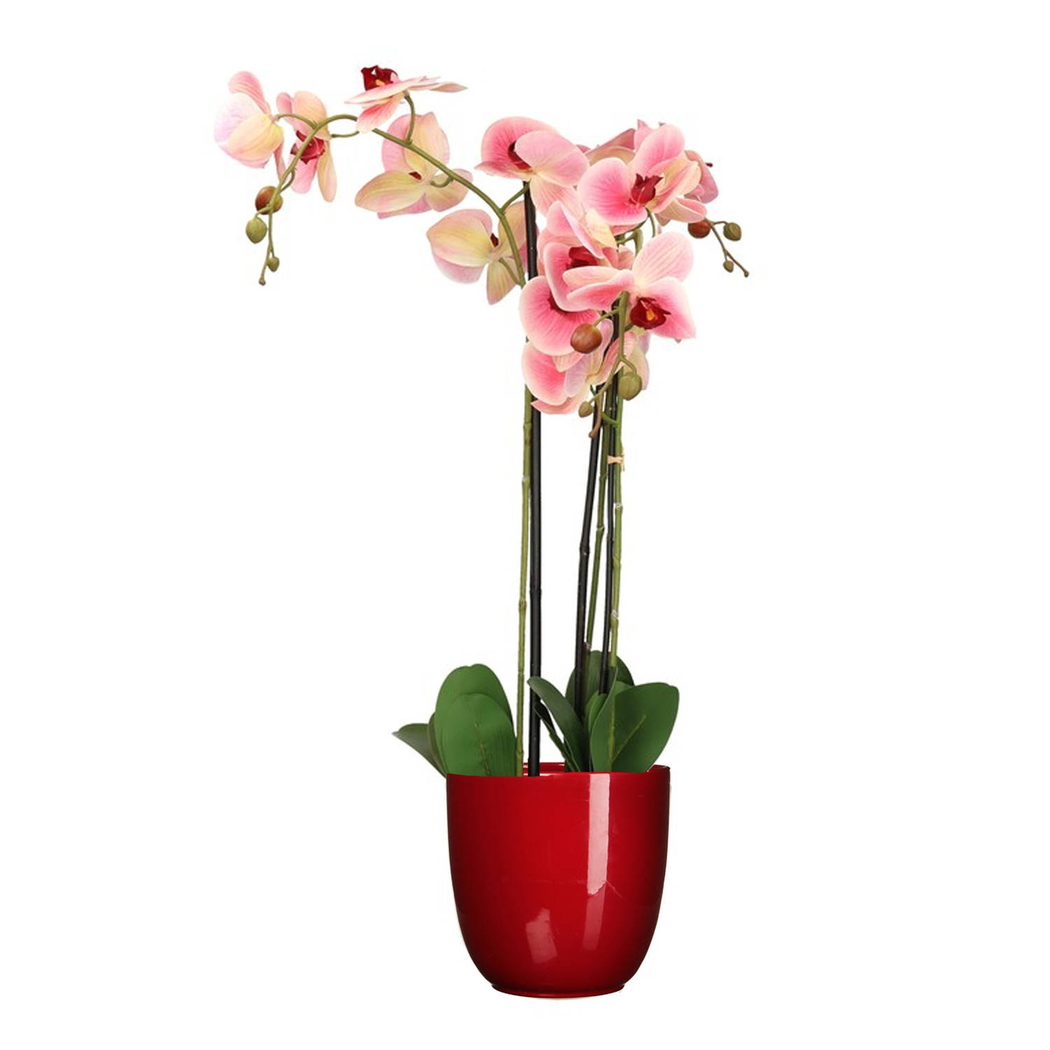 Orchidee kunstplant roze 75 cm inclusief bloempot rood glans Kunstplanten