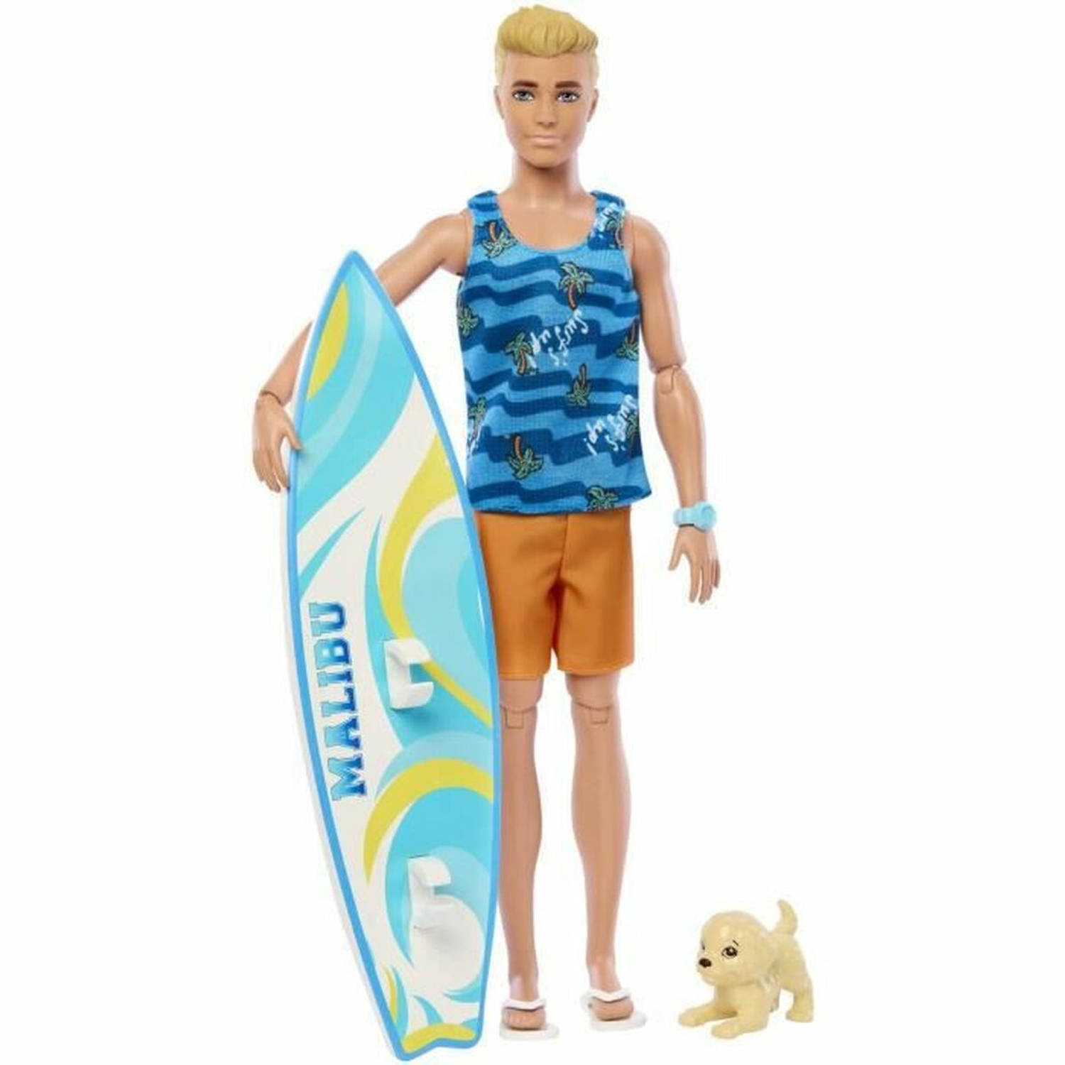 Barbie Ken Surf + Accy Pop Veelkleurig