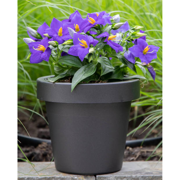 Mega Collections Plantenpot/bloempot - 3x - kunststof - zwart - buiten - D25 x H22 cm - Plantenpotten