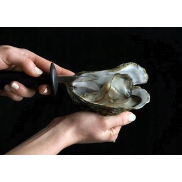 Sabatier oestermes: Het beste mes om oesters mee te openen