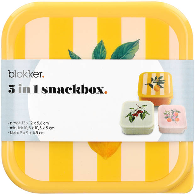 Blokker DF 3 in 1 snackbox zomerfruit