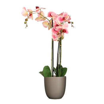 Orchidee kunstplant roze - 75 cm - inclusief bloempot taupe mat - Kunstplanten