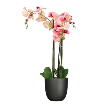Orchidee kunstplant roze - 75 cm - inclusief bloempot titanium grijs glans - Kunstplanten