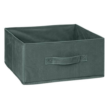 5Five Opbergmand/kastmand - vakkenkast - 14 liter - groen - 31 x 31 x 15 cm - Opbergmanden