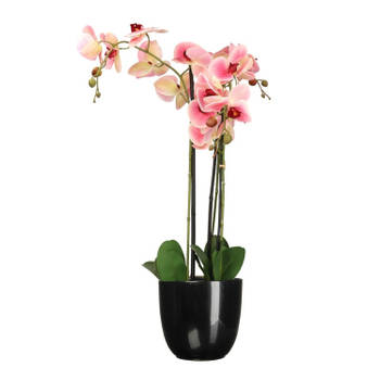 Orchidee kunstplant roze - 75 cm - inclusief bloempot zwart glans - Kunstplanten