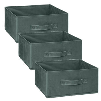 5Five Opbergmand/kastmand - 3x - vakkenkast - 14 liter - groen - 31 x 31 x 15 cm - Opbergmanden