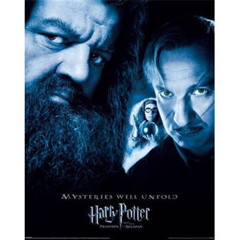 Poster Harry Potter the Prisoner of Azkaban 40x50cm