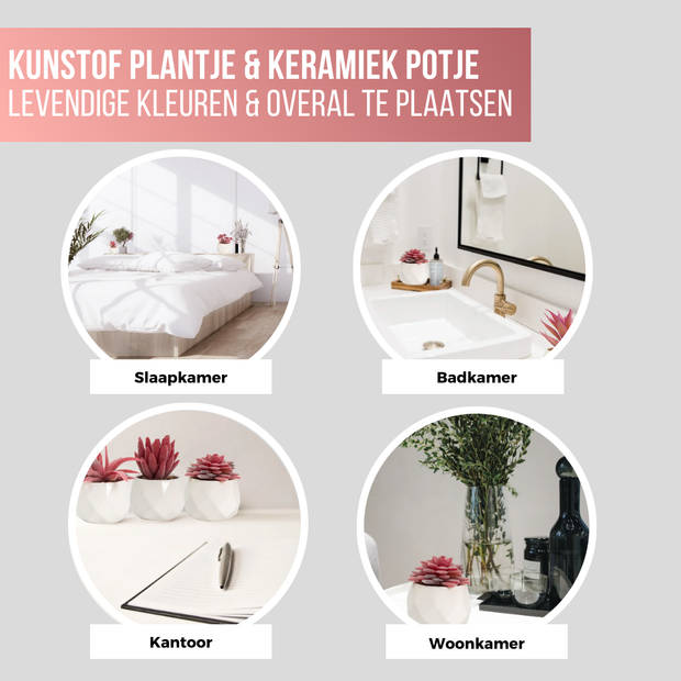 Greendream® Kunstplantjes Set 6 Kunstplanten Keramiek Potje - 6 Stuks Vetplanten - Cadeautip - Roze