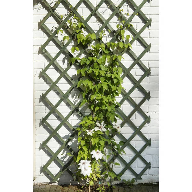 Nature - Houten klimrek groen b50h150 cm