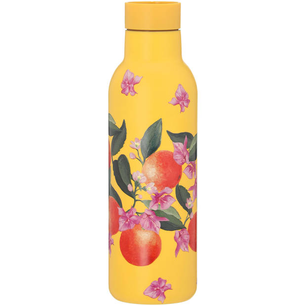 Blokker Dolce Frutta to go drinkfles - 450 ml - citrus