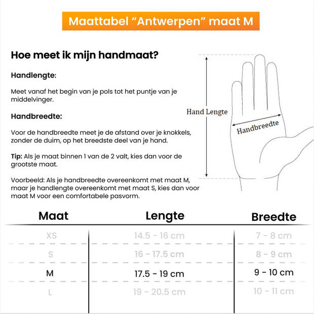 R2B® Touchscreen Handschoenen Winter Heren - Handschoenen Winter Dames - Maat M - Scooter / Fiets -Model Antwerpen