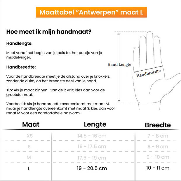 R2B® Touchscreen Handschoenen Winter Heren - Handschoenen Winter Dames - Maat L - Scooter / Fiets -Model Antwerpen