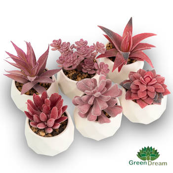 Greendream® Kunstplantjes Set 6 Kunstplanten Keramiek Potje - 6 Stuks Vetplanten - Cadeautip - Roze