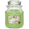 Yankee Candle Geurkaars Medium Vanilla Lime - 13 cm / ø 11 cm