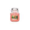 Yankee Candle Geurkaars Medium The Last Paradise - 13 cm / ø 11 cm