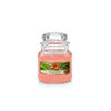 Yankee Candle Geurkaars Small The Last Paradise - 9 cm / ø 6 cm