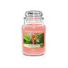 Yankee Candle Geurkaars Large The Last Paradise - 17 cm / ø 11 cm