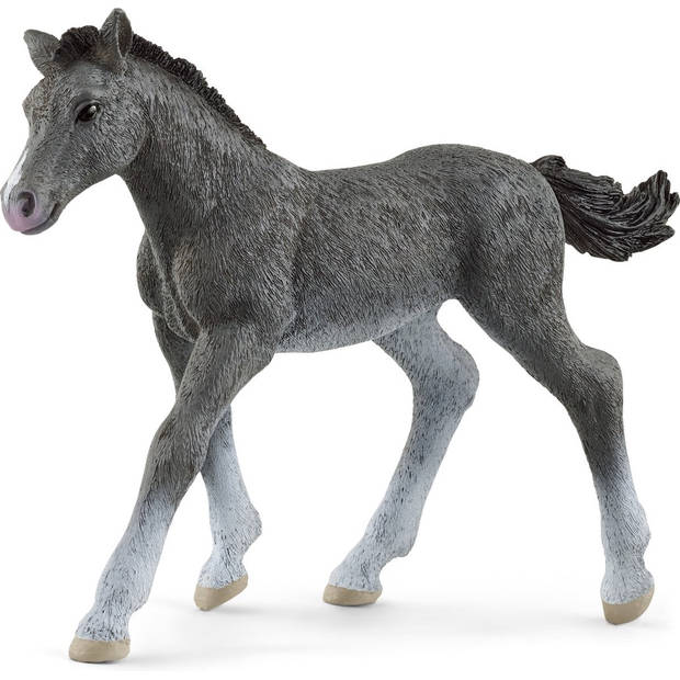 Schleich Horse Club Trakehner Veulen - 13944