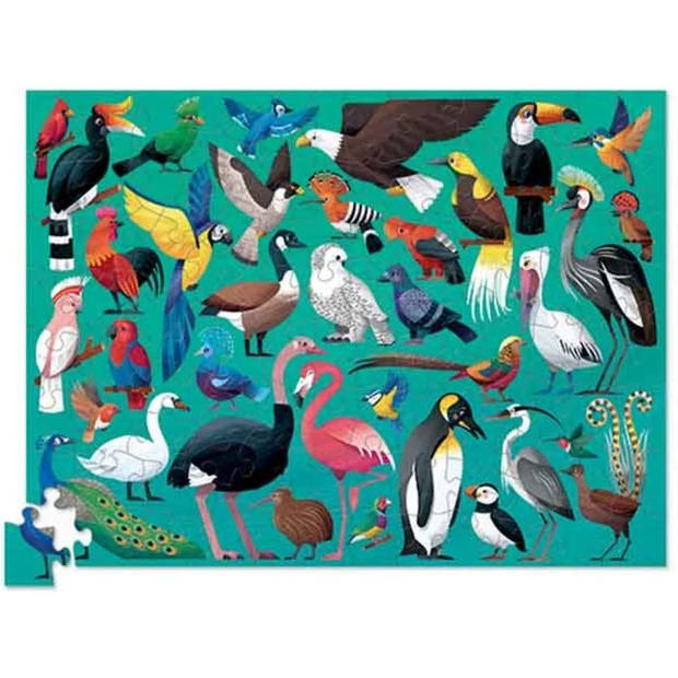 Crocodile Creek puzzel 36 Vogels - 100 stukjes