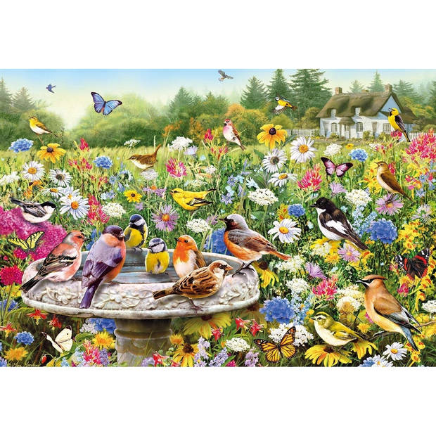 Boosterbox The Secret Garden (100 XXL) (U)