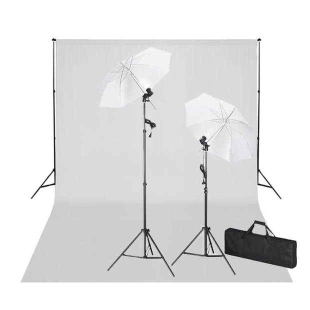 vidaXL Studioset met witte achtergrond en lampen 600x300 cm