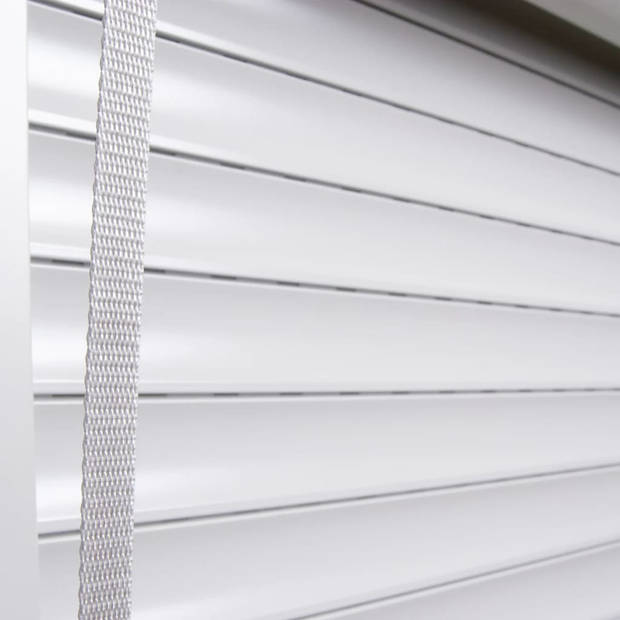 The Living Store Rolluik - 100x210 cm - Aluminium plaat - Hoge windstabiliteit