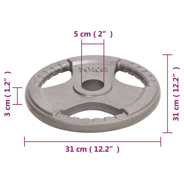 vidaXL Halterschijven 2 st 20 kg gietijzer