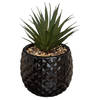 Kunstplant in Zwarte Ananas Pot – H21 cm