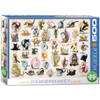 Eurographics puzzel Yoga Kittens - 500 stukjes