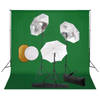 vidaXL Fotostudioset met lampen, paraplu's, achtergrond en reflector