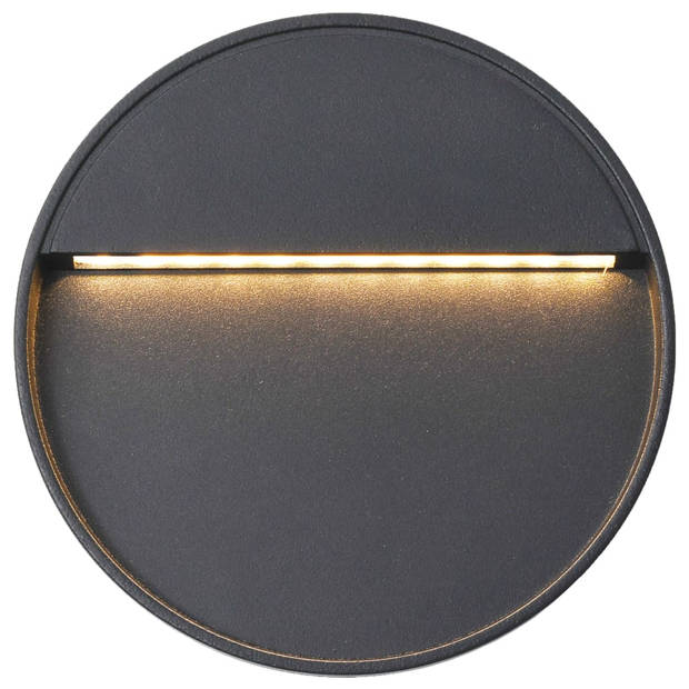 vidaXL LED-buitenwandlampen 2 st 3 W rond zwart