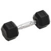 The Living Store Dumbbell - Halters Black - 5 kg - Rubber Coated